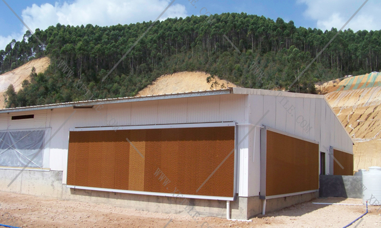 還在為廠房的墻體煩惱嗎？使用星發優質墻體廠房塑料瓦